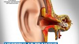 HMO Vestibular Training - Miglioramento delle performance motorie - Corso avanzato