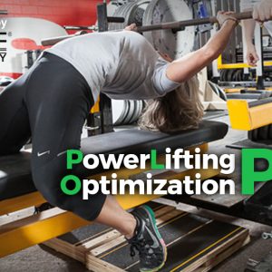 PLO videocorso e lezione in presenza